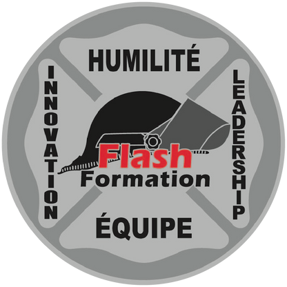 Challenge Coins Flash Formation